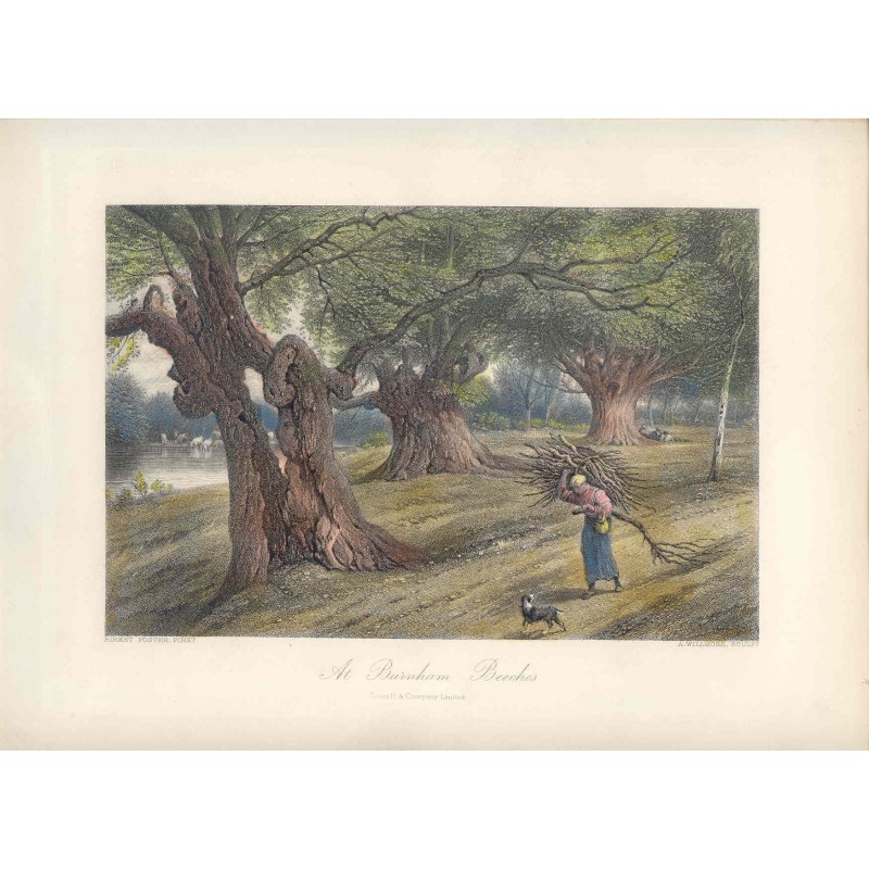 In Burnham Beeches, nach Birket Foster. Arthur Willmore (1872)