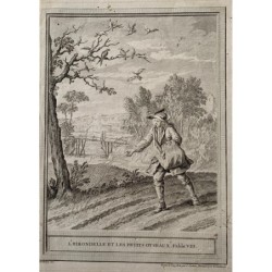 1760. Die Fabel von der Schwalbe und den kleinen Vögeln. Jean de la Fontaine.