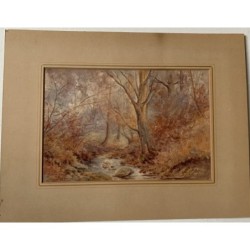 Foresta. Acquerello della Scuola Inglese del 1911