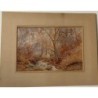Forest. Watercolor by the English School dated 1911