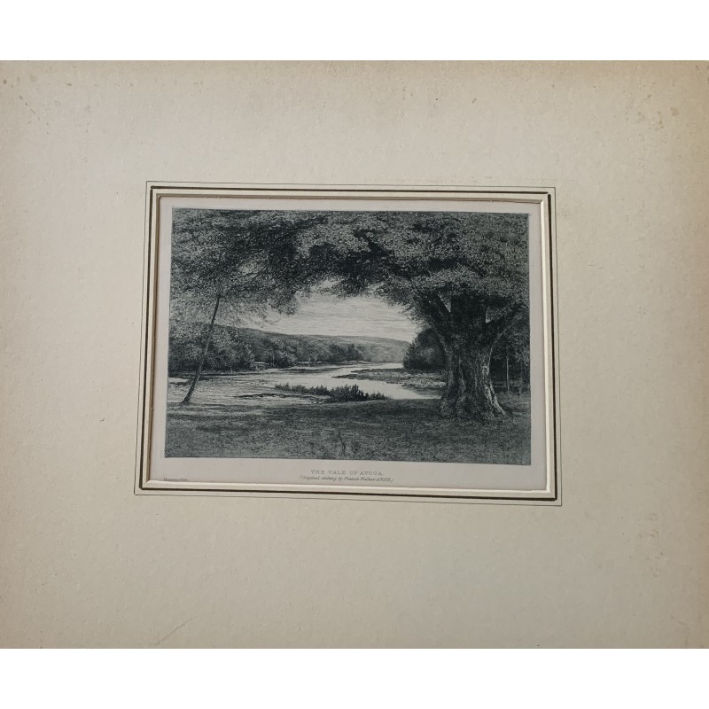 Irlanda. La valle di Avoca. Incisione di Francis Walker