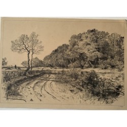 Ottima litografia di un paesaggio con alberi. Firma e data illeggibili del 1880.