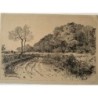 Excellent lithograph of a landscape with trees. Illegibly signed and dated 1880.