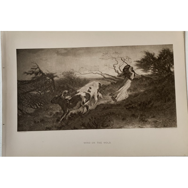 Wind on the Wold, Fotogravur eines Werkes von G. Mason