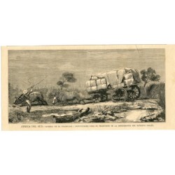 Südafrika. Krieg im Transvaal. Holzschnitt.