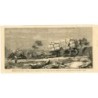 Afrique du Sud. Guerre du Transvaal. Gravure sur bois.