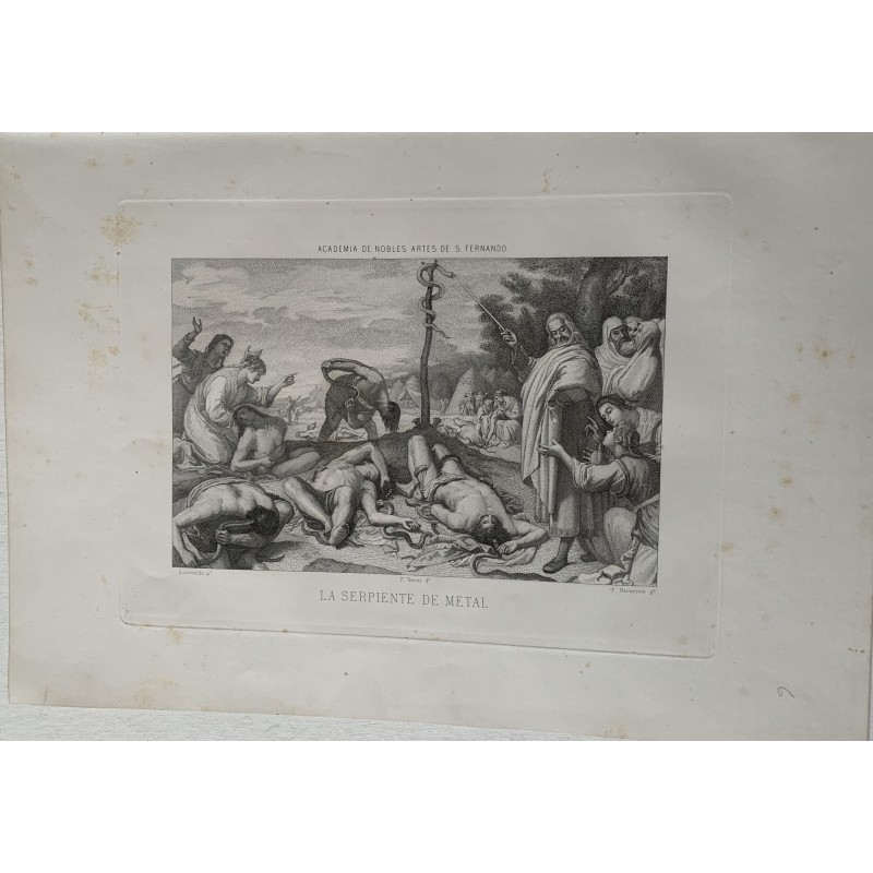 Le serpent en métal de Léonard dessiné par F. Torras et gravé par Federico Navarrete.