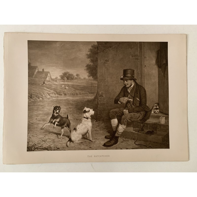 Photogravure du Ratcatcher d'après l'œuvre de Thomas Woodward et éditée par W.B. Jobson en 1899