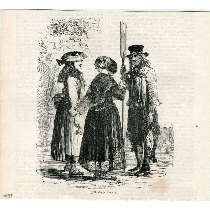Jütländer. Holzschnitt, 1859