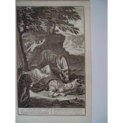 Un prophète désobéissant est tué par un lion - Scènes bibliques néerlandaises - Gravure ancienne (vers 1720)