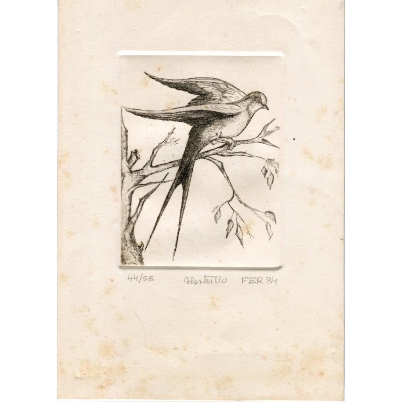 Oiseau. Gravure signée au crayon Fer 84 et numérotée.