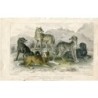 Animaux. Loup d'Europe, loup noir d'Amérique du Nord, mât de Saint-Bernard... 1868