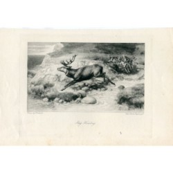 Caccia al cervo incisa da Swan Electric da un disegno di E. Caldwell