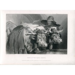 Bœufs au réservoir : Genève gravée par C. Cousen d'après un dessin de Sir E. Landseer