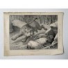 Una lince che caccia una lepre, 1880 da El Mundo Ilustrado
