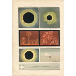Astronomie antike Lithographie - Sonnenfinsternis - Rote Flammen - Korona - Zodiakallicht - 1880