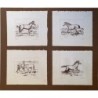 Quattro litografie di cavalli incollate su cartone marrone, firmate Verdaguer.