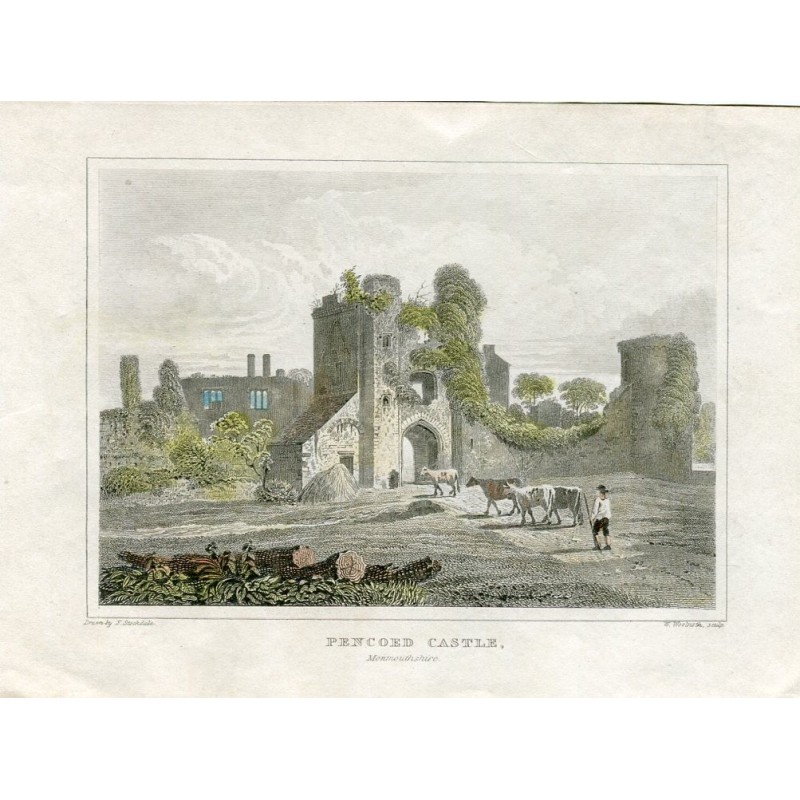 Pencoed Castle, Monmouthshire, Wales
