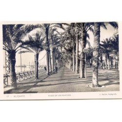 Old postcard of Alicante. Paseo de los Martires. Photograph by Roisin.