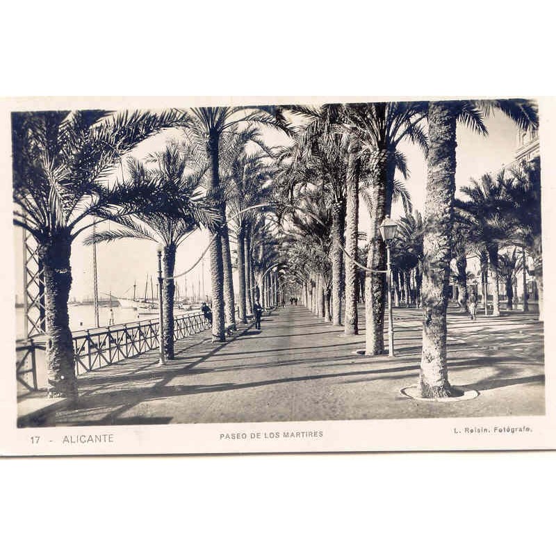 Old postcard of Alicante. Paseo de los Martires. Photograph by Roisin.