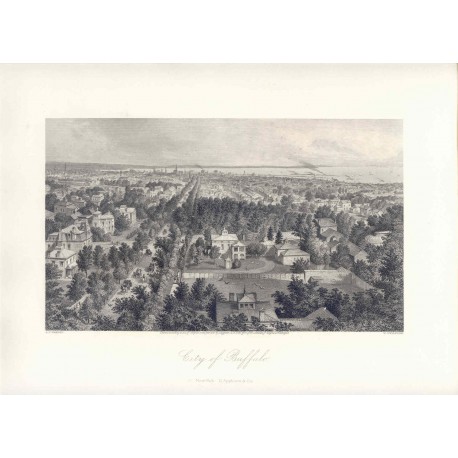 Estados Unidos. «City of Buffalo» Dibujó A.C. Warren(1819-1904). Grabó Wellstod ()