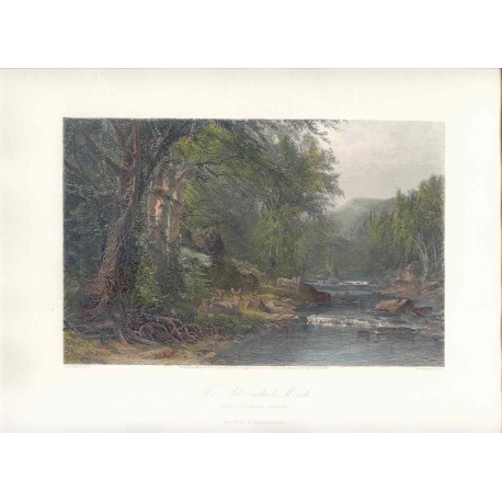 Estados Unidos. «The Adirondack Woods» Dibujó James.Macdonald.Hart (1828-1901). Grabó Robert Hinshelwood (1812-)