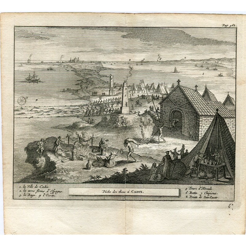 Peche des thons a Cadix. Incisa da Pieter Van der Aa, 1707.