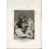 I cincillà, incisione n. 50 originale di Goya, 5a edizione (1881-1886).