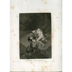Who would have believed it, engraving n 62 original by Goya 5th edition (1881-1886).