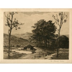 „Das friedliche Tal“. Geätzt von Eli Marsden Wilson.