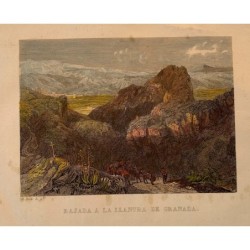 Grenade simple - Gravure du XIXe siècle