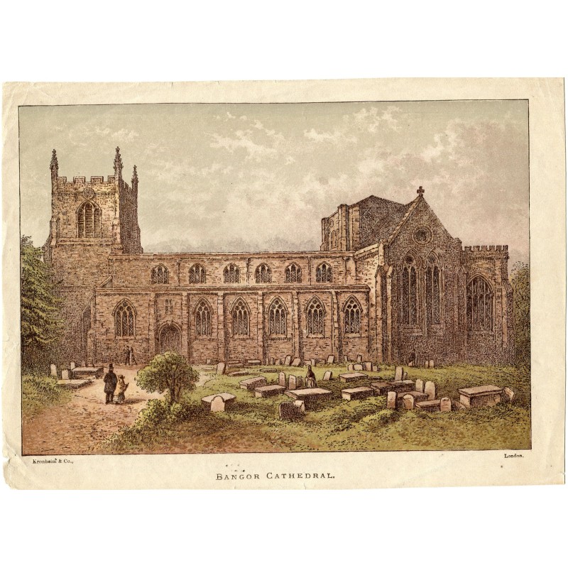 Cathédrale de Bangor, Pays de Galles - Gravure ancienne en acier couleur.