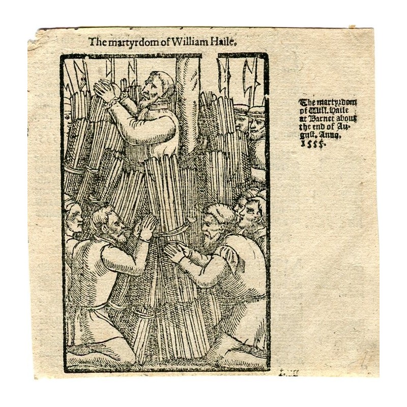 Il martirio di Guglielmo Haile, xilografia del 1555