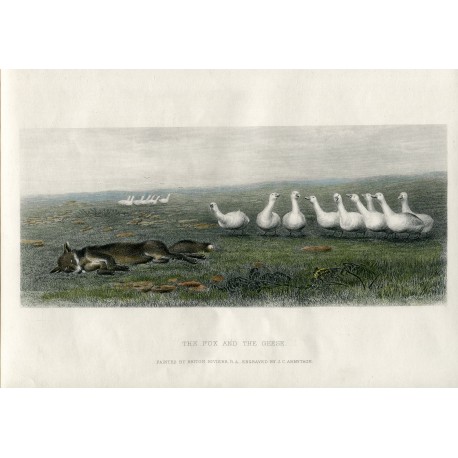 The fox and the geese' grabado por J.C. Armytage sobre obra de Briton Riviere.