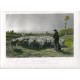 «The Shepherd» grabado por C. Cousen sobre obra de Rosa Bonheur