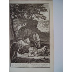 The man of God slain by a lion for his disobedience. Grabado bíblico original por Gerard Hoet (1648-1733), grabado por J. Mulder
