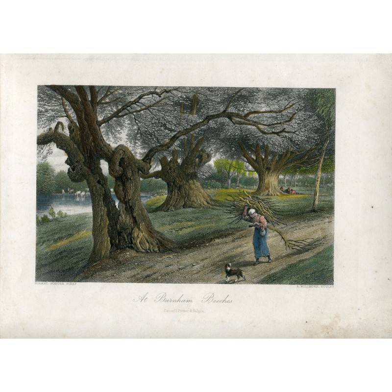 Burnham Beeches (Burnham, Buckinghamshire) – 1870 Gravur