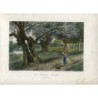 Hêtres de Burnham (Burnham, Buckinghamshire) - gravure de 1870