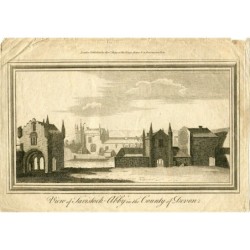 Veduta di Tavistock nella contea del Devon. Pubblicata nel 1770 da Alexander Hogg.