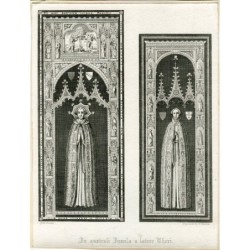 In Australia Insula a Latere Chori registrata da W. Finden su Hollar