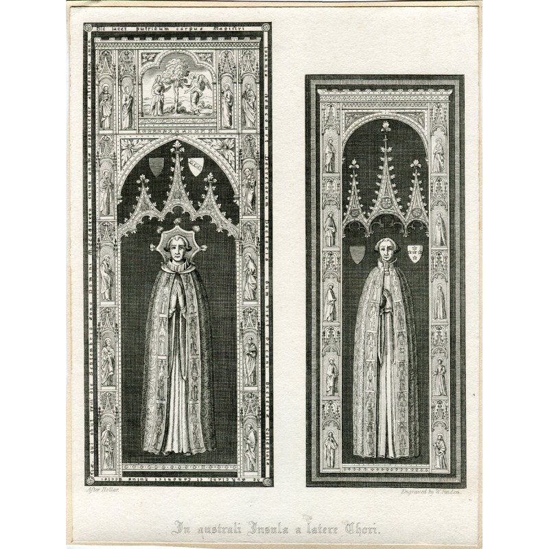 In Australia Insula a Latere Chori registrata da W. Finden su Hollar